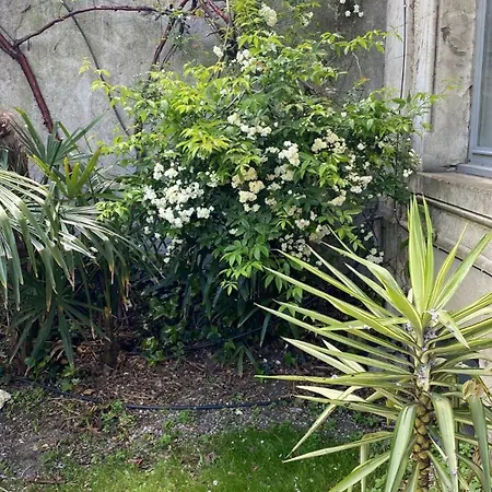Salutbb D'hote Bed & Breakfast