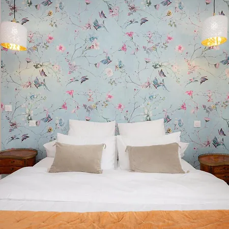 Salutbb D'hote Bed & Breakfast Carcassonne