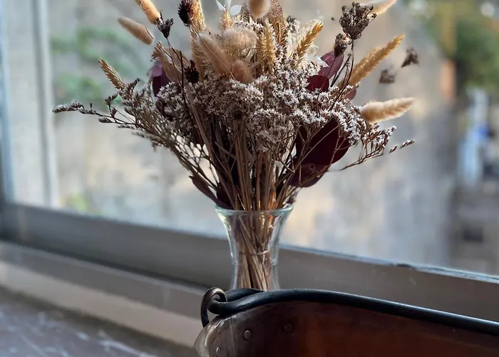 Salutbb D'hote Каркассонн